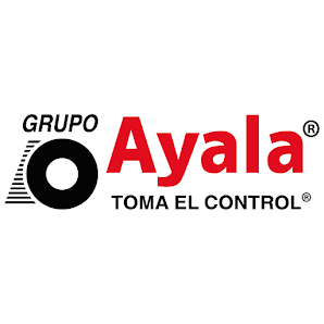 Michelin Grupo Ayala